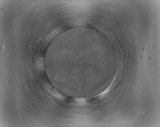 X0000074030144200609111723