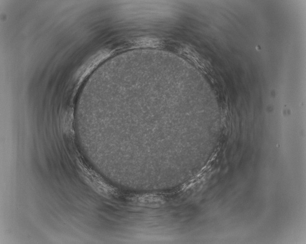 X0000074030146200609111722