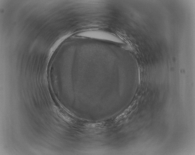 X0000074030147200609111722