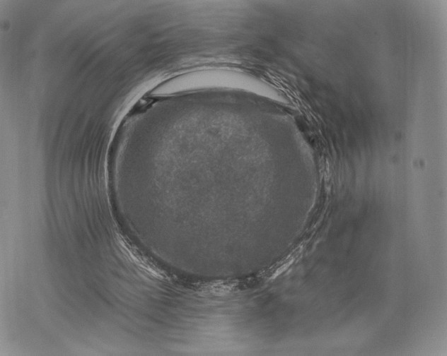 X0000074030148200609111722