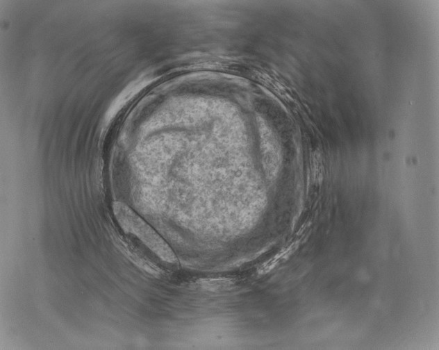 X0000074030150200609111722