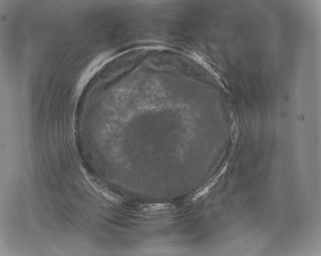 X0000074030151200609111722