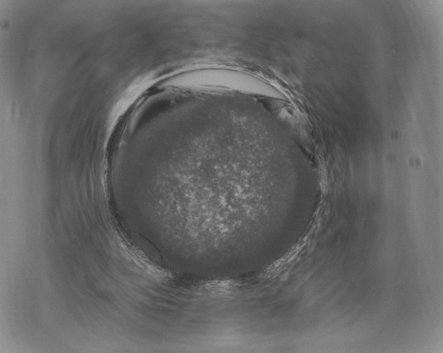 X0000074030152200609111723