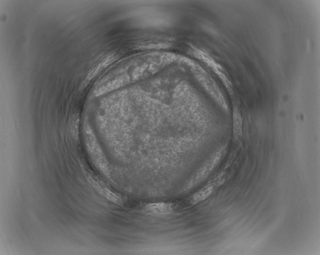 X0000074030153200609111723