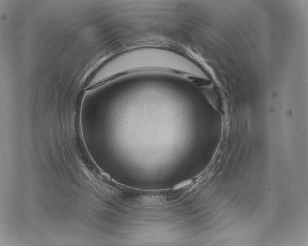 X0000074030154200609111723