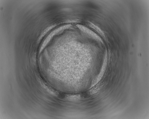 X0000074030155200609111723