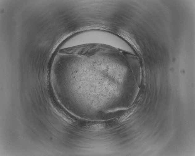 X0000074030156200609111723