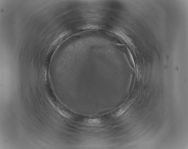 X0000074030157200609111723