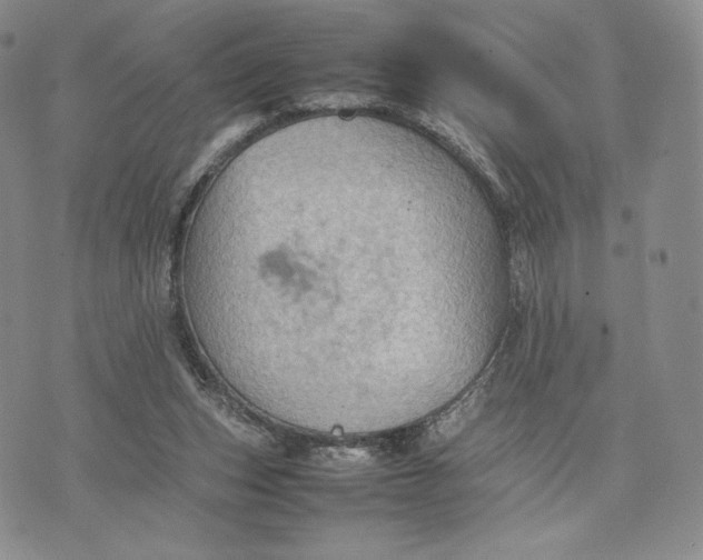 X0000074030159200609111723