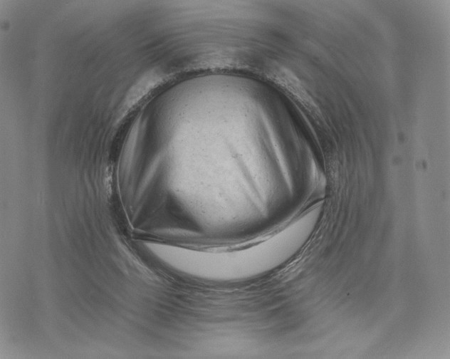 X0000074030160200609111723