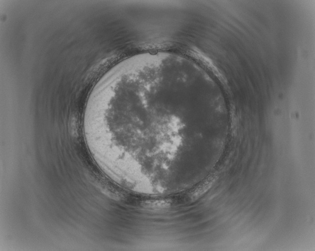 X0000074030161200609111723