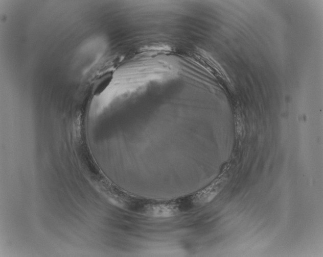 X0000074030163200609111723