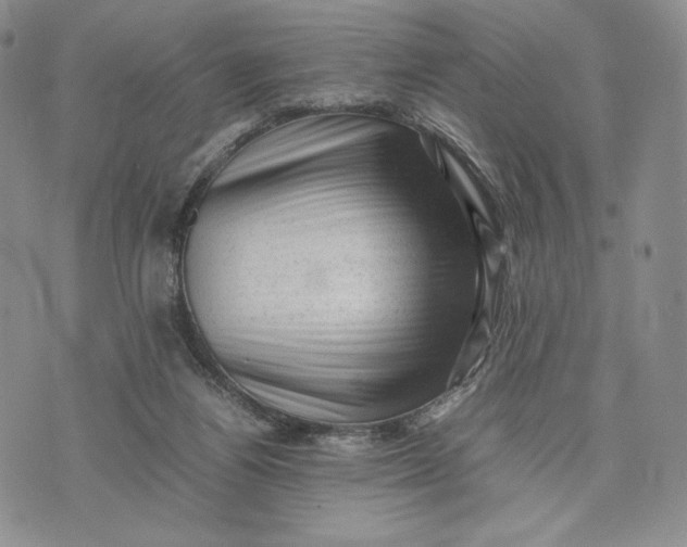 X0000074030164200609111723