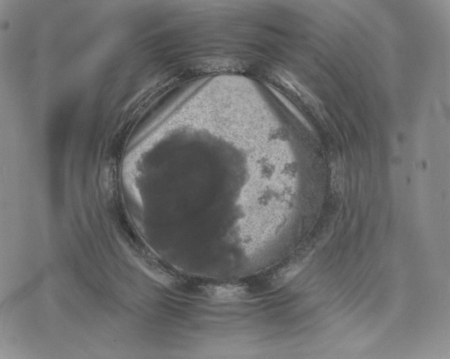 X0000074030165200609111723