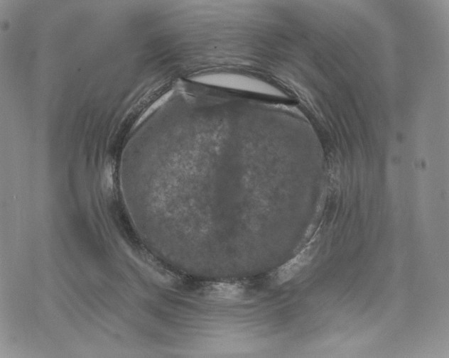 X0000074030166200609111723