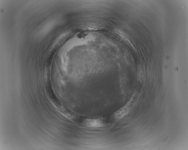 X0000074030167200609111723