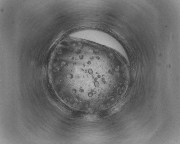 X0000074030168200609111723