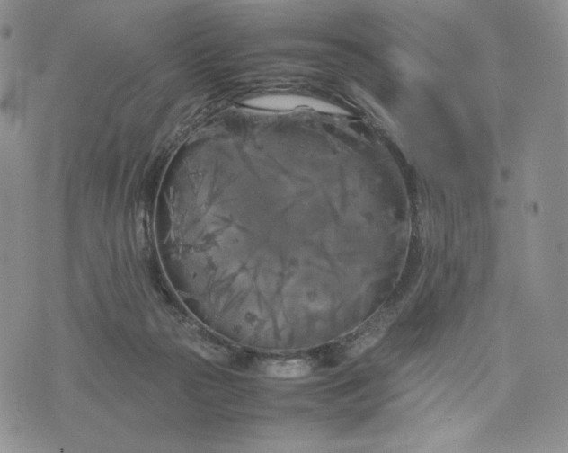 X0000074030169200609111723