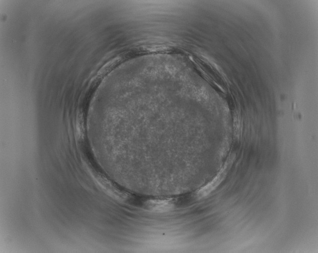 X0000074030170200609111723