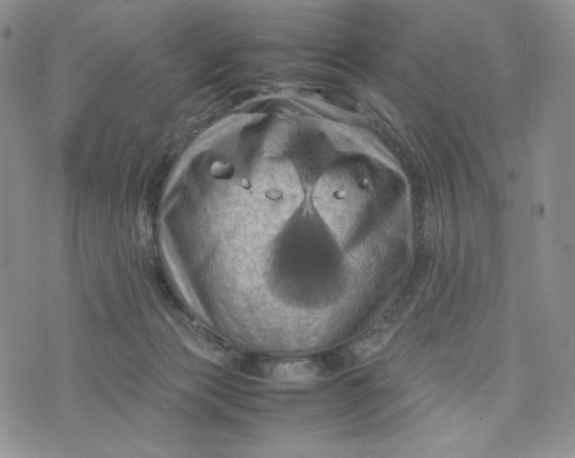 X0000074030173200609111723