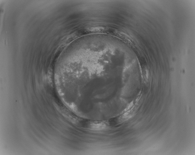 X0000074030175200609111723