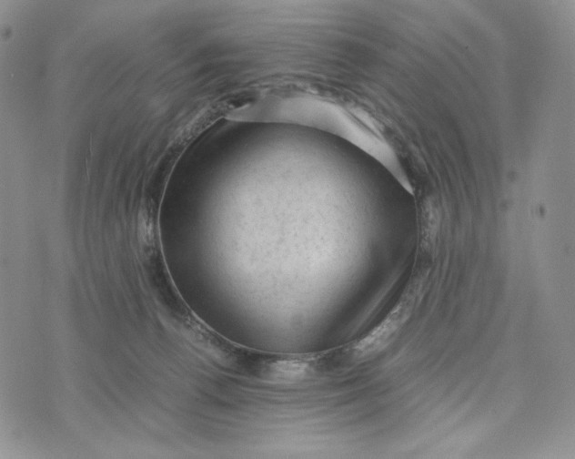 X0000074030176200609111723