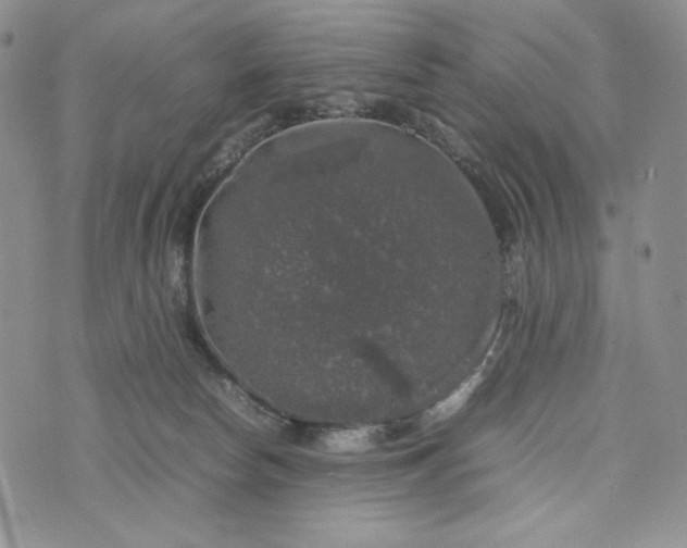 X0000074030178200609111723