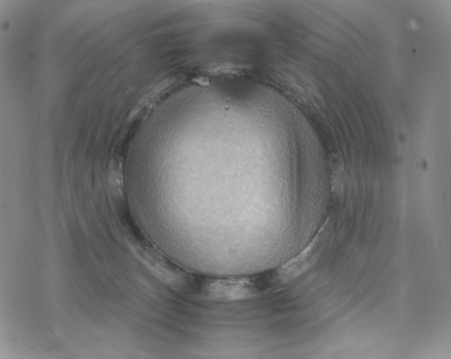 X0000074030179200609111723