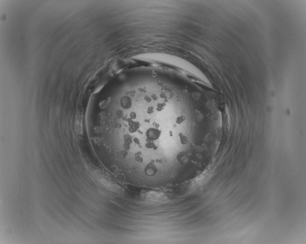 X0000074030180200609111723