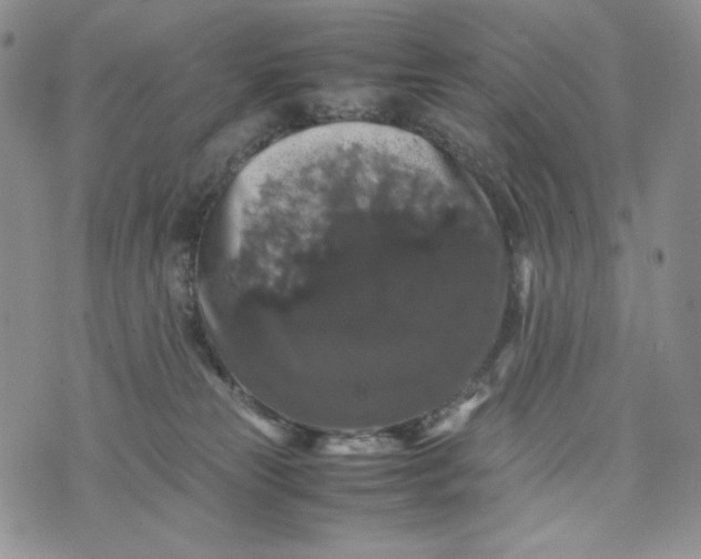 X0000074030181200609111723