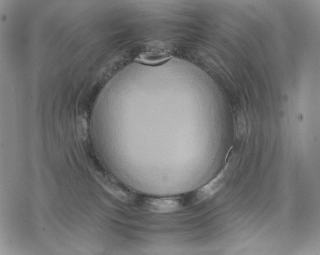 X0000074030183200609111723