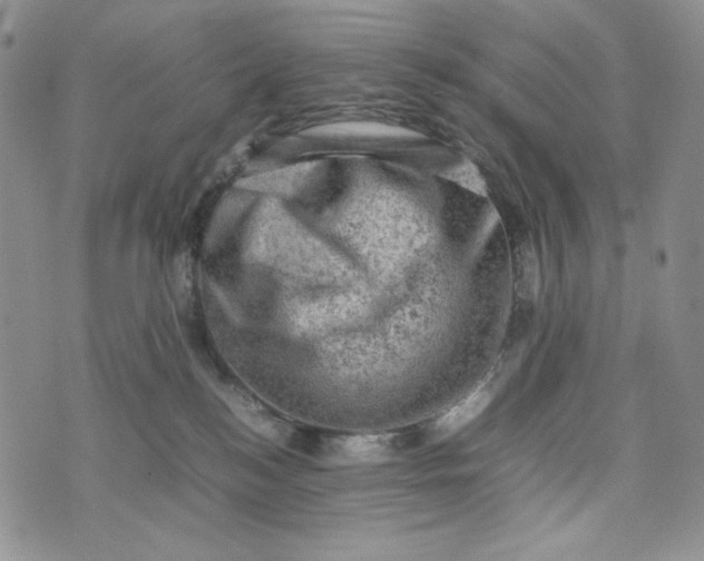 X0000074030184200609111723