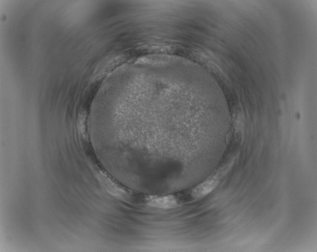 X0000074030185200609111723