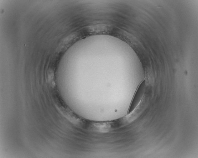 X0000074030187200609111723