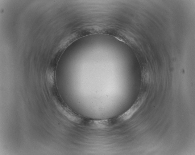 X0000074030188200609111723