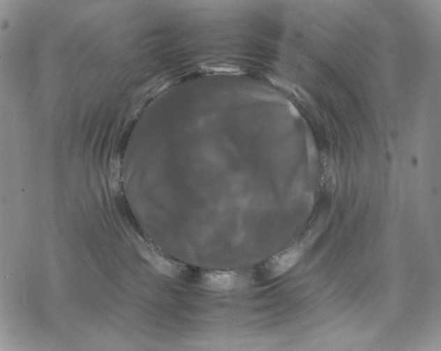 X0000074030189200609111723