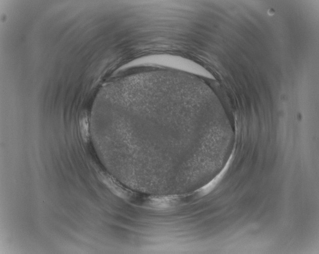 X0000074030190200609111723