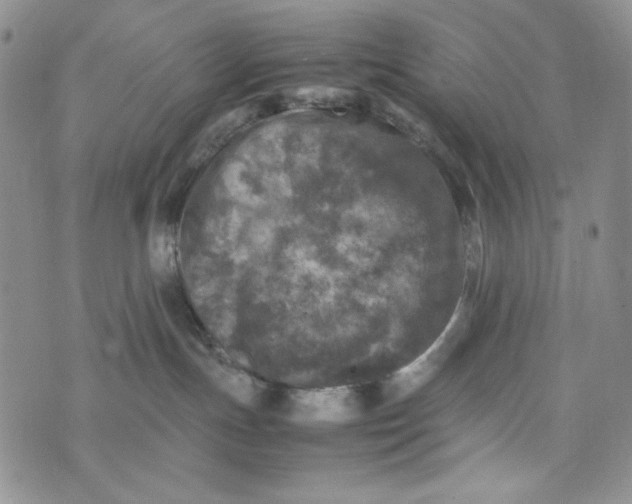 X0000074030191200609111723