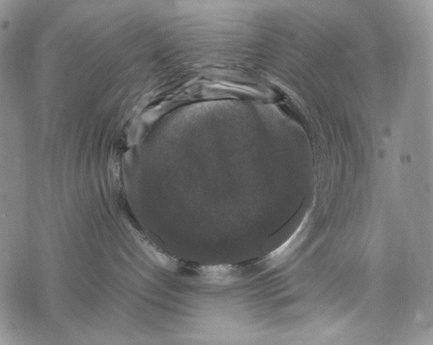 X0000074030192200609111723