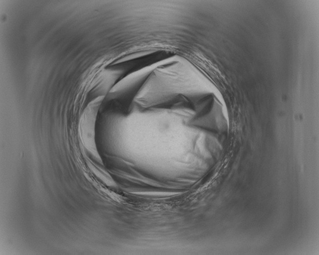 X0000074030193200609111722