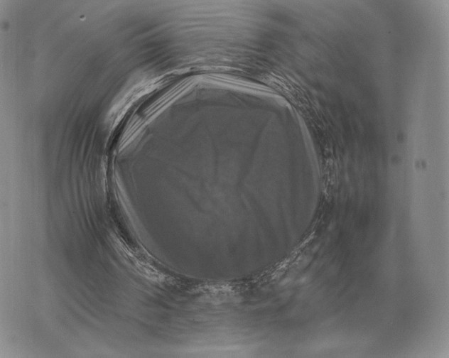 X0000074030194200609111722