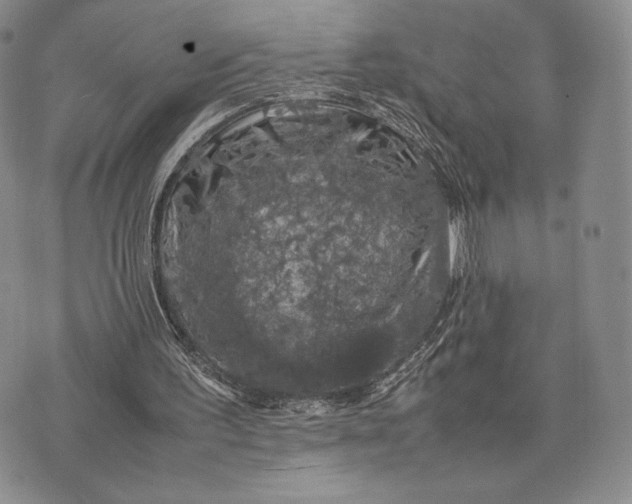 X0000074030195200609111722