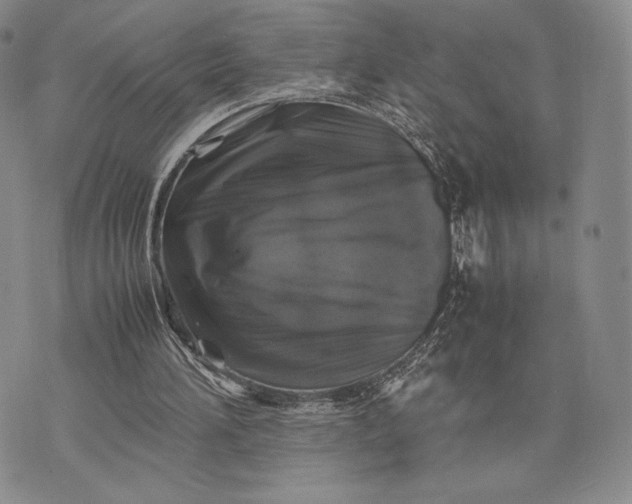 X0000074030196200609111722