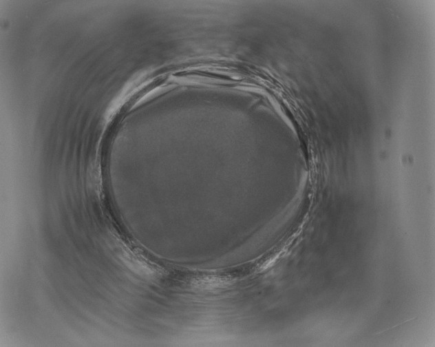 X0000074030198200609111722