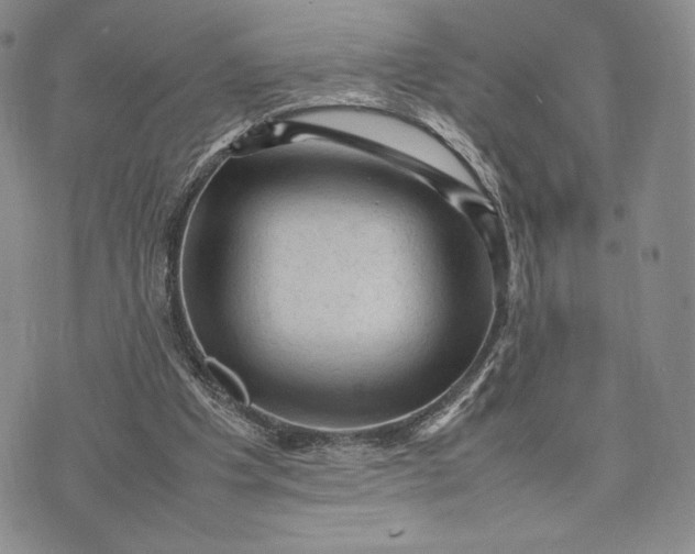 X0000074030201200609111722