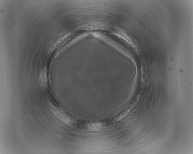 X0000074030202200609111722