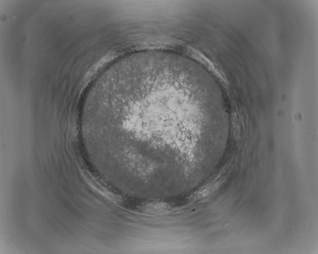 X0000074030203200609111722