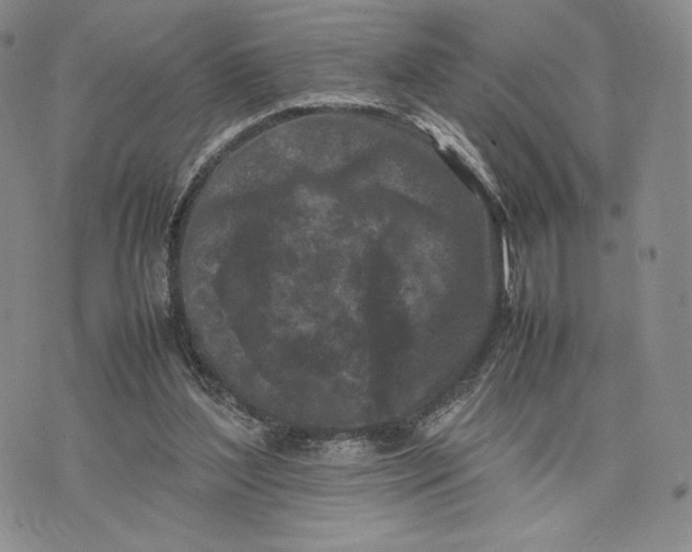 X0000074030204200609111722