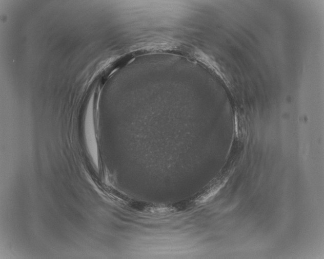 X0000074030205200609111722