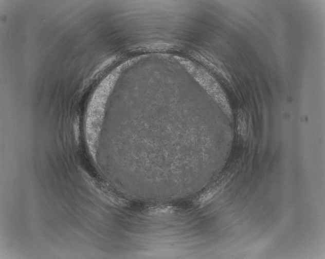 X0000074030206200609111722